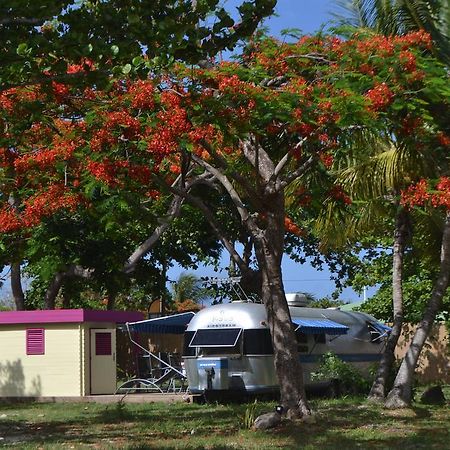 Airstream Paradise Bernard Dış mekan fotoğraf